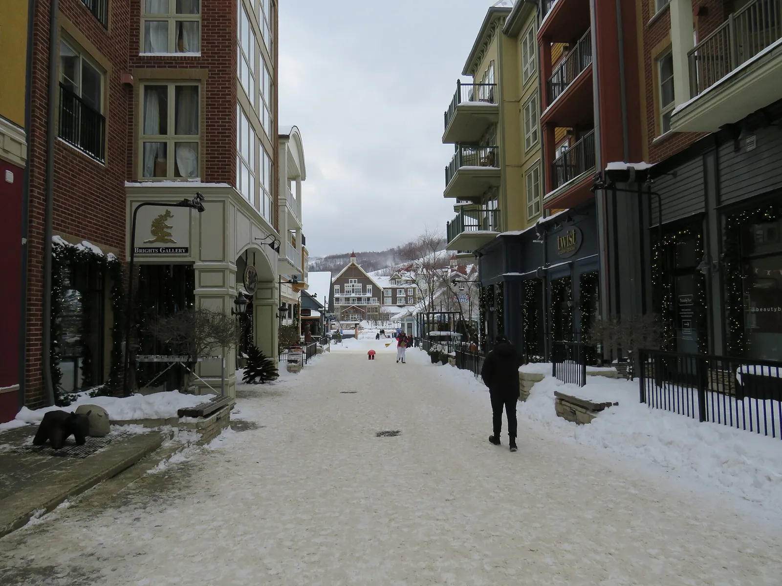 Blue Mountain Village & the Escarpment