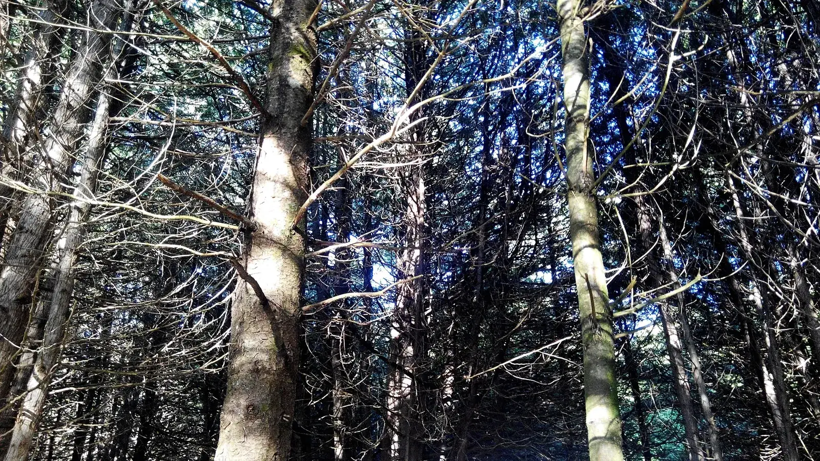 Warsaw Caves Conservation Area